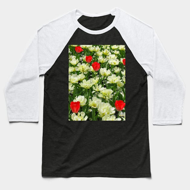 White and Red Tulips Baseball T-Shirt by Upbeat Traveler